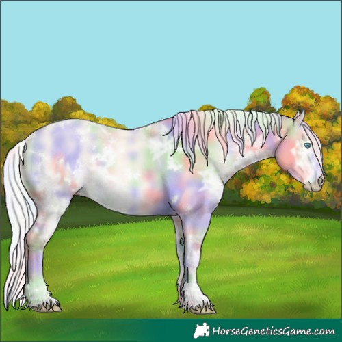Horse Color:Nacre White Spotted Silver Perlino Ice Dun 