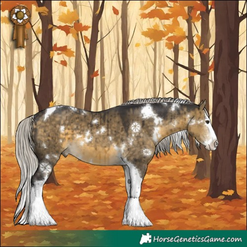 Horse Color:White Spotted Silver Buckskin Dun Splash Tobiano Brindle 