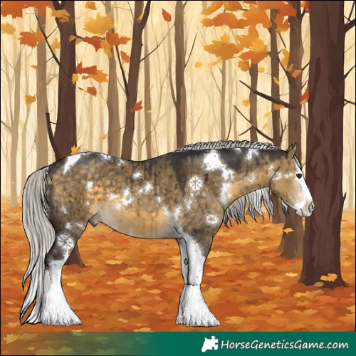 Horse Color:White Spotted Silver Buckskin Dun Splash Tobiano Brindle 