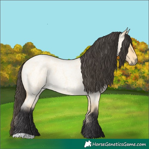 Horse Color:Buckskin Roan Dun 