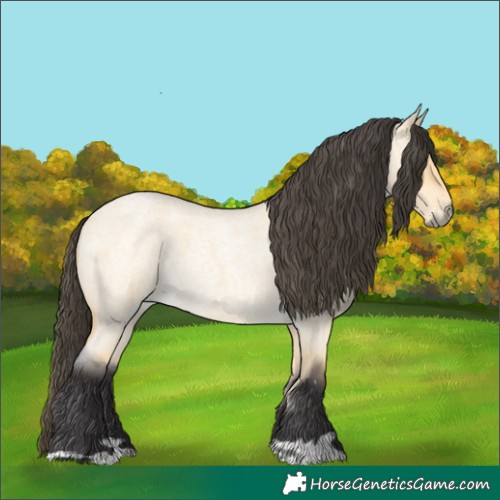 Horse Color:Buckskin Roan Dun 