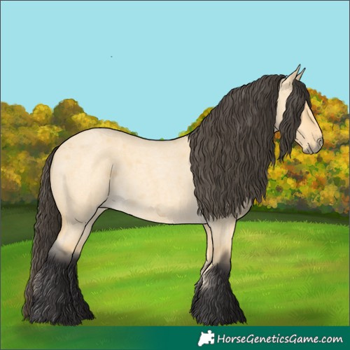 Horse Color:Buckskin Roan Dun 