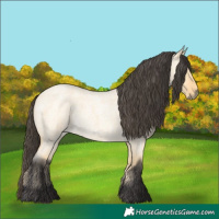 Horse Color:Buckskin Roan Dun 