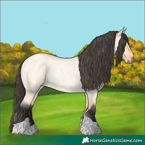 Horse Color:Buckskin Roan Dun Tobiano