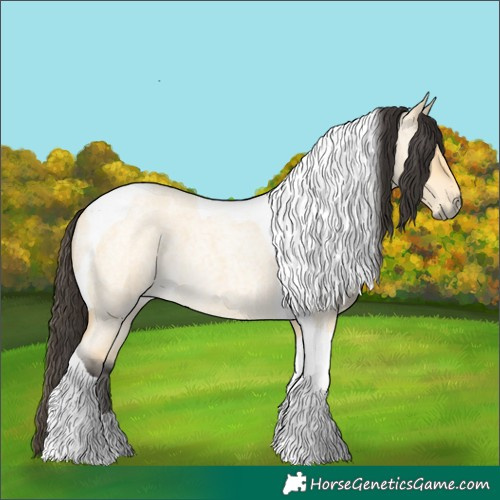 Horse Color:Buckskin Roan Dun Tobiano