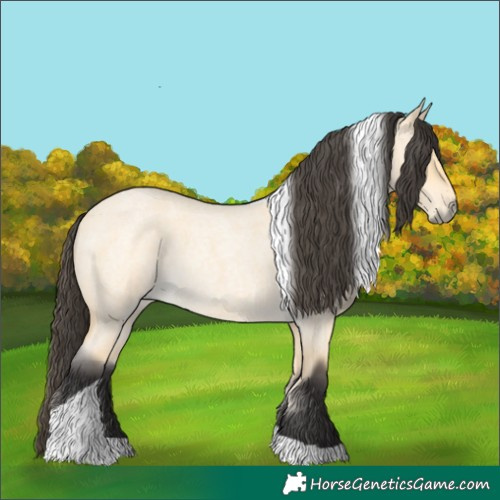 Horse Color:Buckskin Roan Dun Tobiano 