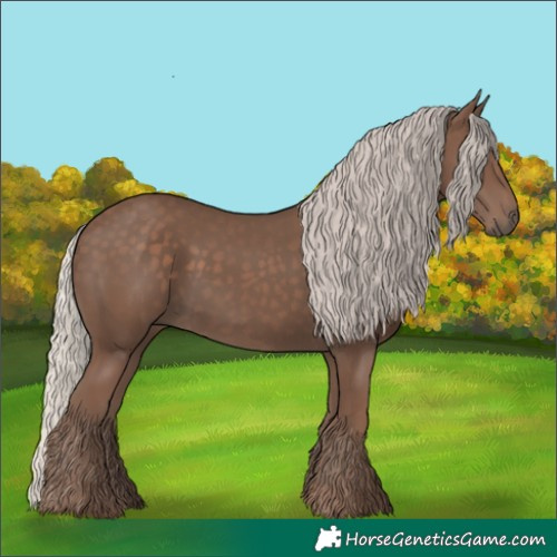 Horse Color:Silver Black 