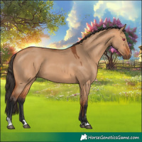 Horse Color:Bay Dun