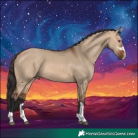 Horse Color:Bay Dun