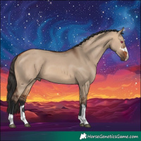 Horse Color:Bay Dun
