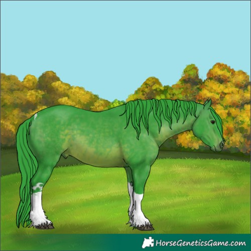 Horse Color:Watercolor Brown Tobiano 