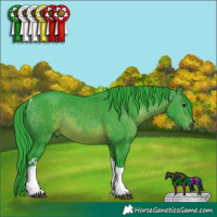 Horse Color:Watercolor Brown Tobiano 