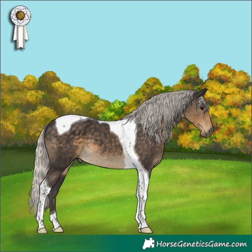 Horse Color:Silver Smoky Black Tobiano 