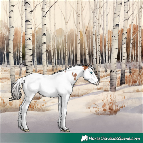 Horse Color:White Spotted Bay Splash Tobiano Rabicano 