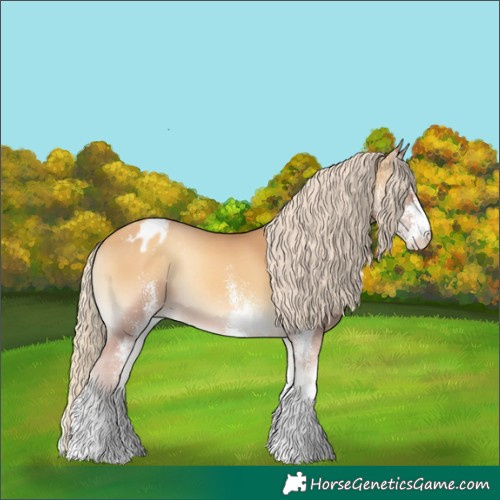 Horse Color:White Spotted Gold Cream Champagne Onyx Appaloosa Rabicano 