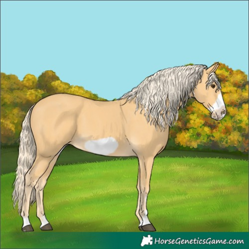Horse Color:Unknown 