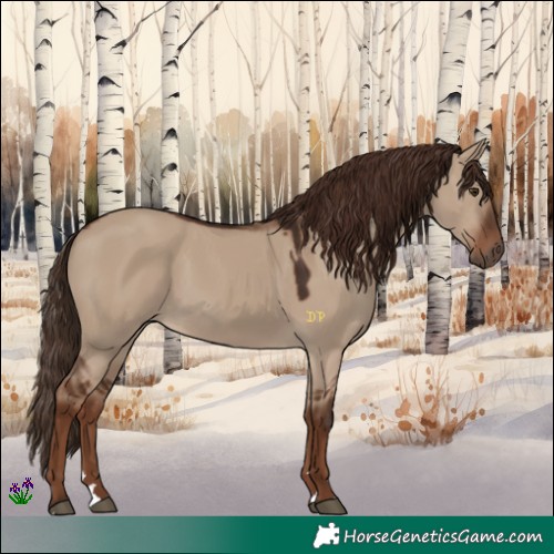 Horse Color:Liver Red Dun 
