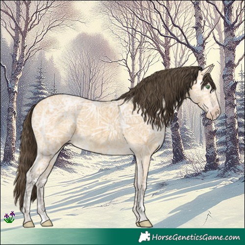 Horse Color:Amber Cream Champagne Ice