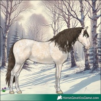 Horse Color:Amber Cream Champagne Ice
