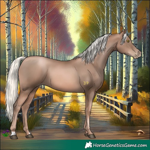 Horse Color:Liver Chestnut Pearl Mushroom 
