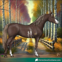 Horse Color:Liver Chestnut Sabino