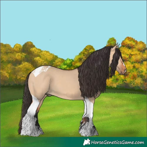 Horse Color:Bay Dun Tobiano 