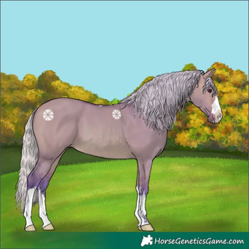 Horse Color:Watercolor Silver Bay Dun 