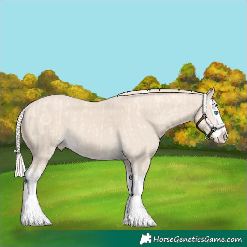 Horse Color:Cremello Splash  and Smoky Creme Splash 