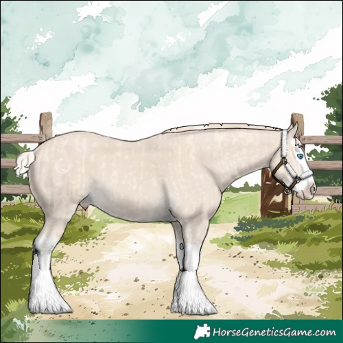Horse Color:Cremello Splash  and Smoky Creme Splash 