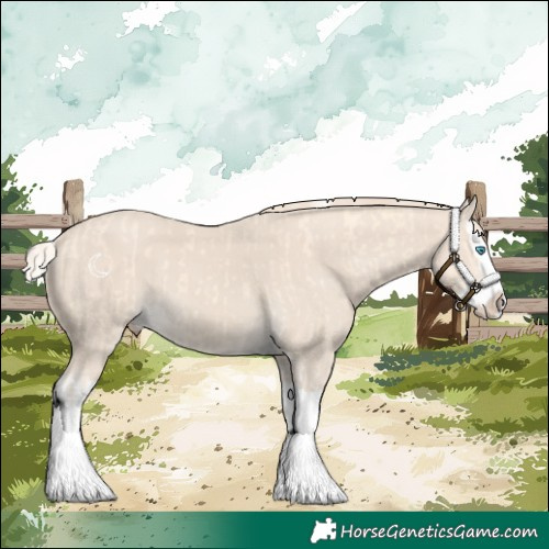 Horse Color:Cremello Splash and Smoky Creme Splash