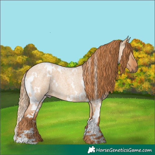 Horse Color:White Spotted Red Dun Roan 