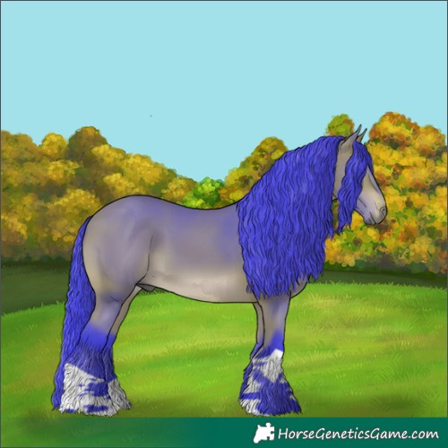 Horse Color:Watercolor Bay