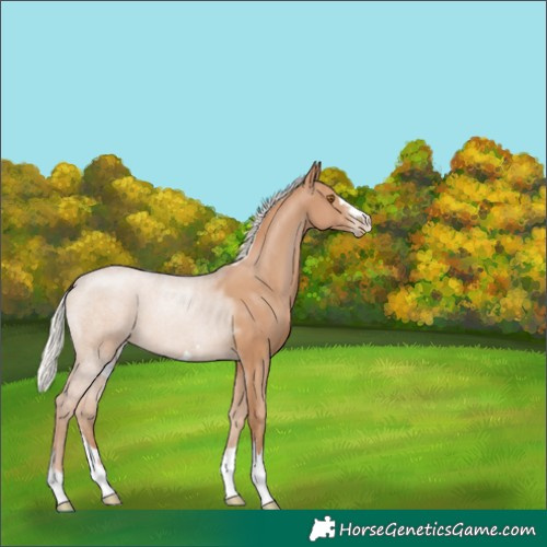 Horse Color:Silver Black Pearl 