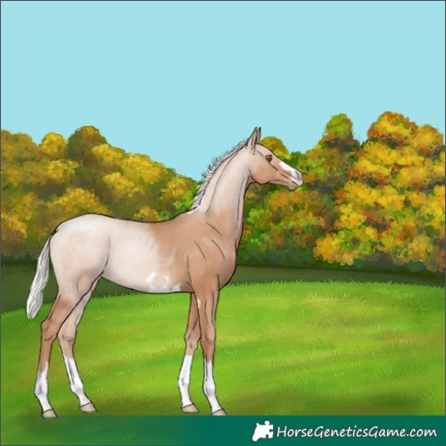 Horse Color:Silver Black Pearl 