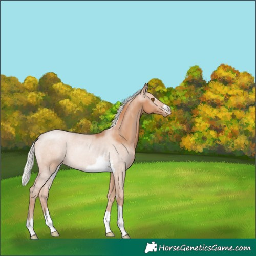 Horse Color:Silver Black Pearl 