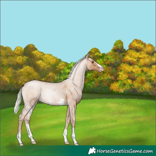 Horse Color:Silver Black Pearl 