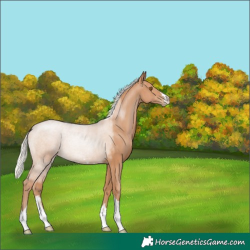 Horse Color:Silver Black Pearl 