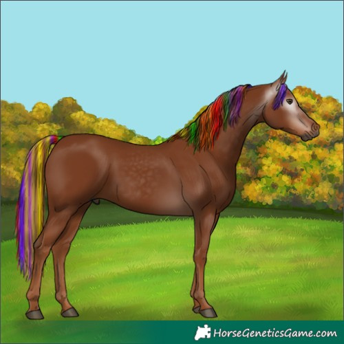 Horse Color:Gray Painted Chestnut 