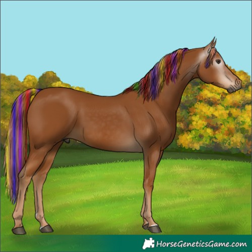Horse Color:Gray Painted Chestnut