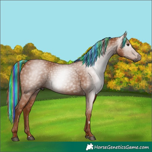 Horse Color:Gray Painted Chestnut 