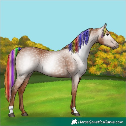 Horse Color:Gray Painted Chestnut 