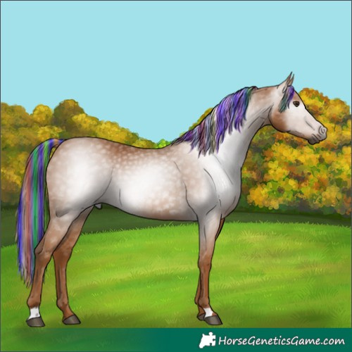 Horse Color:Gray Painted Chestnut 