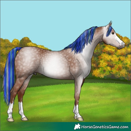 Horse Color:Gray Painted Chestnut 