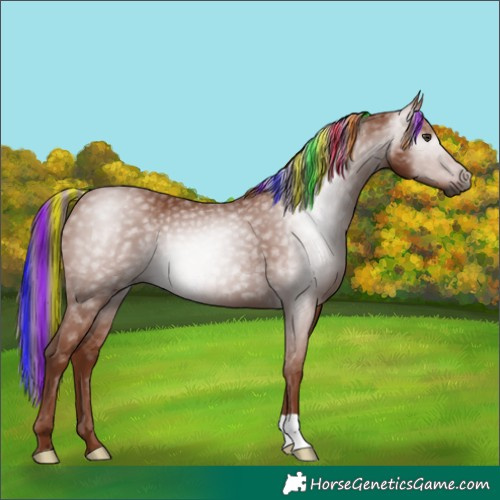 Horse Color:Gray Painted Chestnut