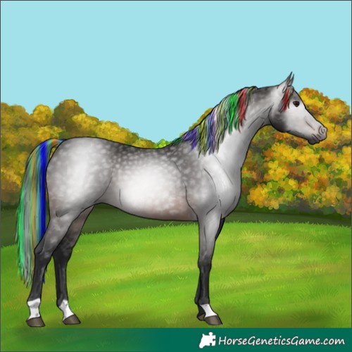 Horse Color:Gray Painted Bay 