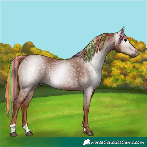 Horse Color:Gray Painted Chestnut
