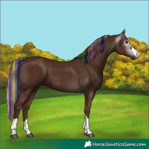 Horse Color:Gray Painted Chestnut 