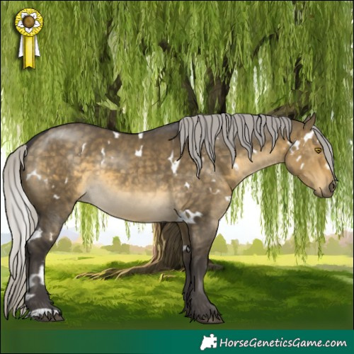 Horse Color:White Spotted Silver Buckskin Dun 