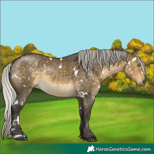 Horse Color:White Spotted Silver Buckskin Dun 