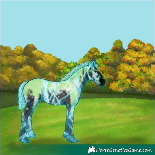 Horse Color:Void Thunderstruck Watercolor White Spotted Silver Grullo Ice 